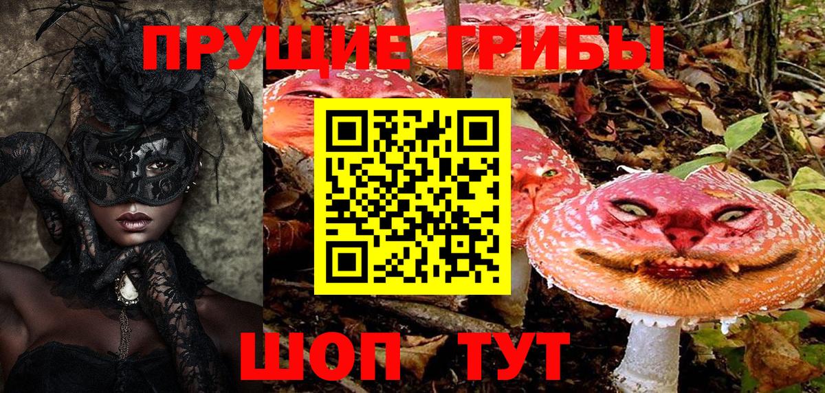 Галлюциногенные грибы Psilocybine cubensis Надым